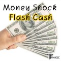 �Ӵϼ�ũ �÷���ĳ�� - Money shock flash cash